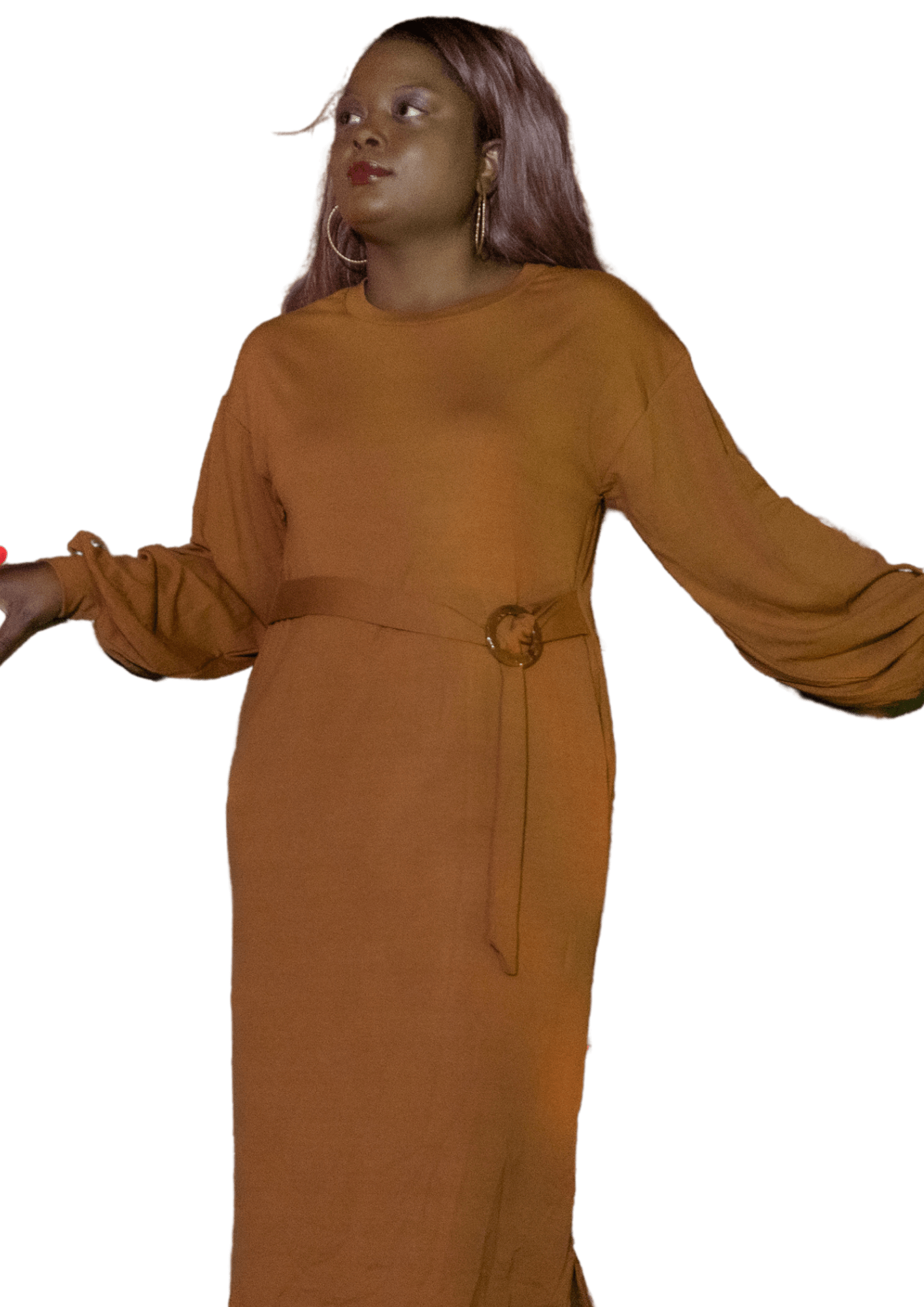 Long Sleeve Brown Dress - Howse Fashion Company